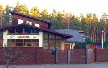 Liesmiņas