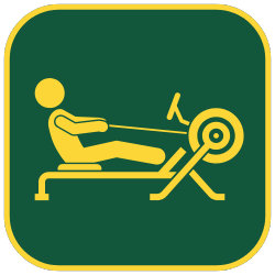 Ikona 