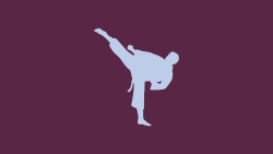 ikona - karate