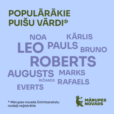 Demogrāfija Mārupes novads 2024