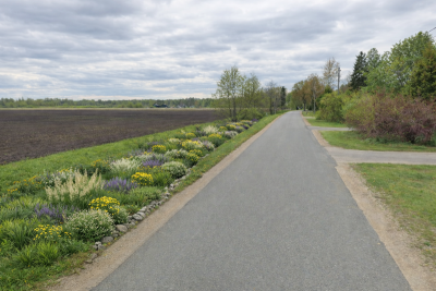 Pielāgošanās projekta pārmaiņām