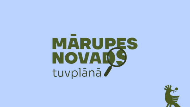 Zili zaļš vizuālis