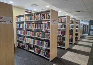 Mazcenas bibliotēka
